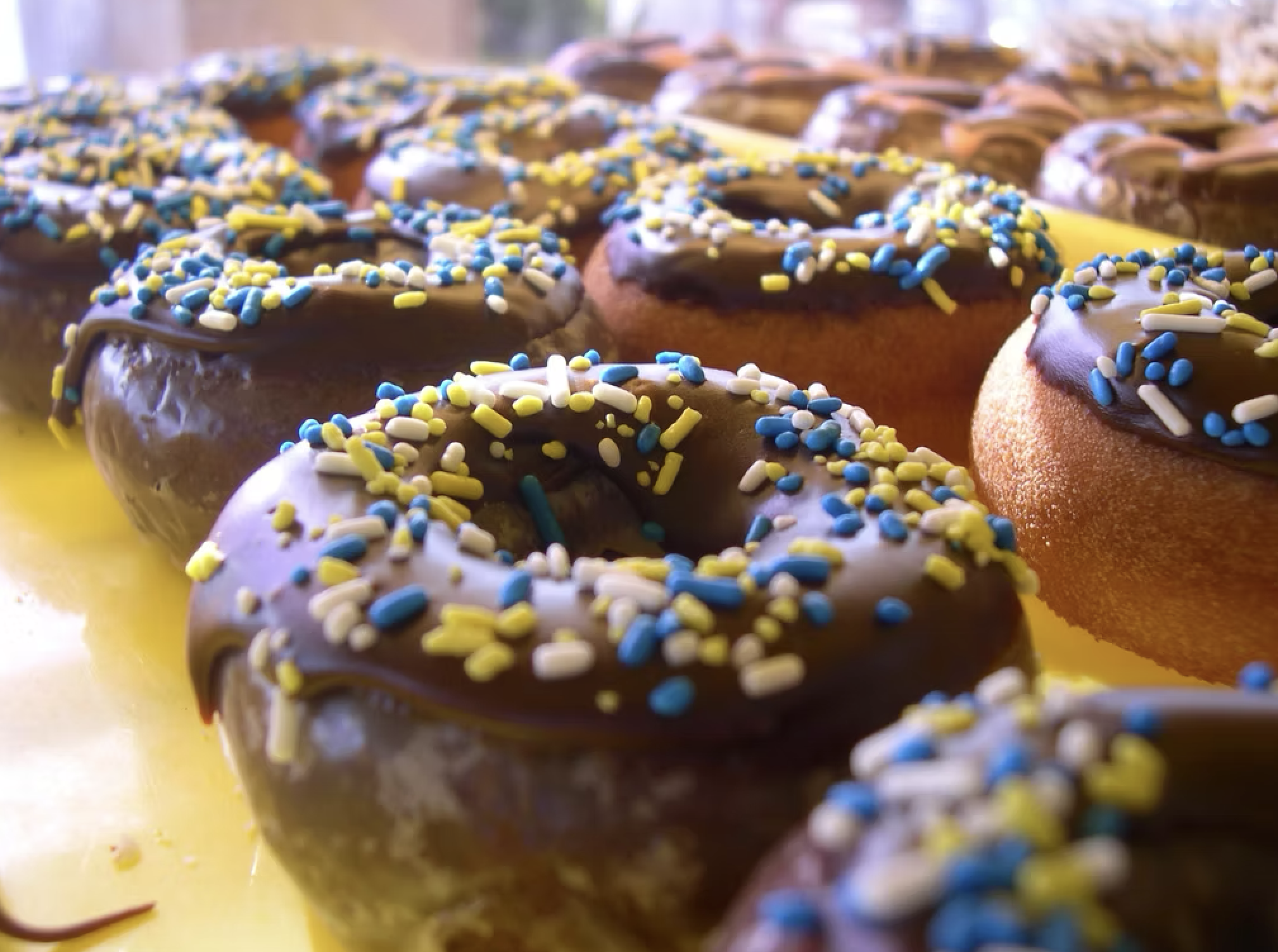 Things To Do City Donut